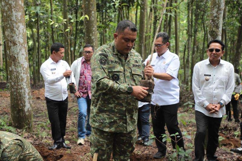Terinspirasi Hutan Organik, Rudy Susmanto Targetkan Setiap Kecamatan Punya Hutan Kota