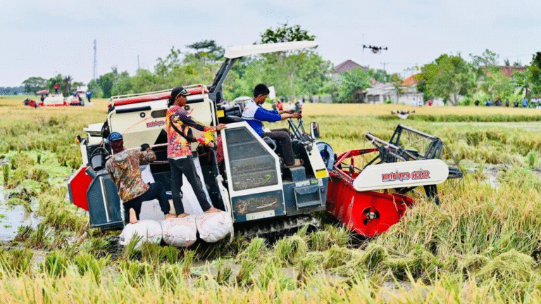 Swasembada Pangan 2025: Tonggak Sejarah Kemandirian Pangan Indonesia