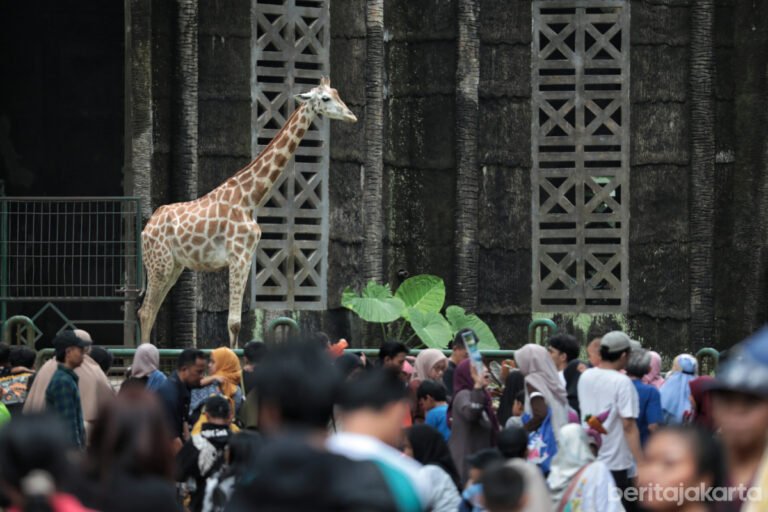 408.755 Wisatawan Kunjungi Taman Margasatwa Ragunan
