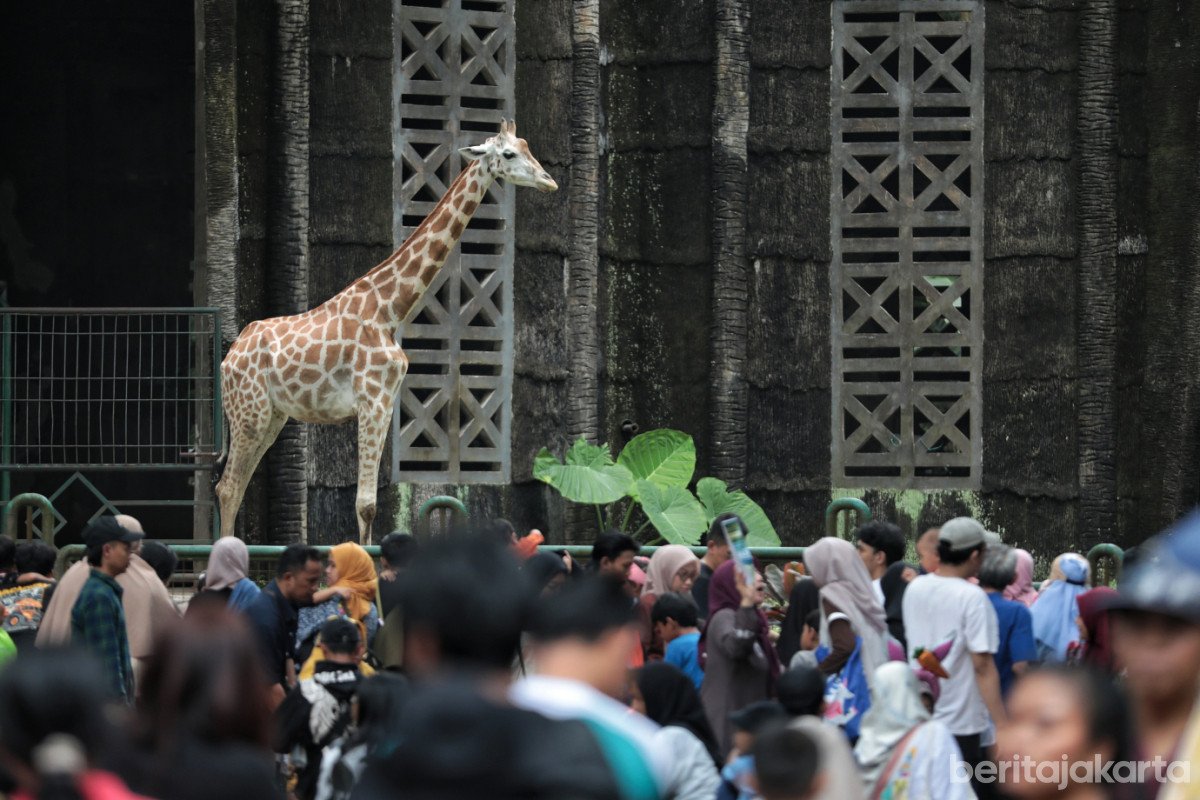 408.755 Wisatawan Kunjungi Taman Margasatwa Ragunan