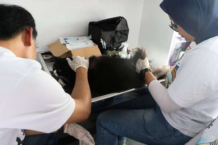 Vaksinasi dan Observasi Ketat, Kota Bandung Pertahankan Status Bebas Rabies