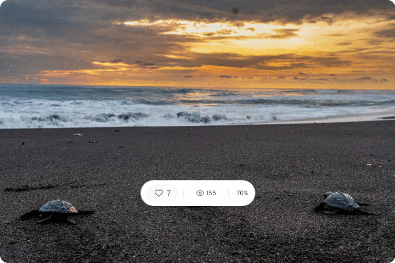 Lewat Film Dokumenter, Kemenpar Melalui Badan Pelaksana Otorita Borobudur Bersinergi dengan BCA Promosikan Pariwisata Berkualitas.