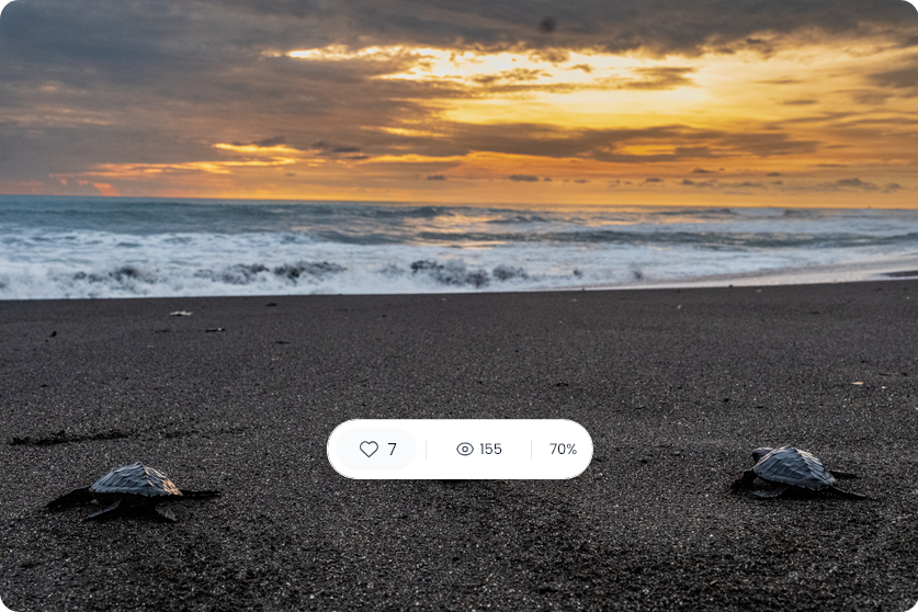 Lewat Film Dokumenter, Kemenpar Melalui Badan Pelaksana Otorita Borobudur Bersinergi dengan BCA Promosikan Pariwisata Berkualitas.