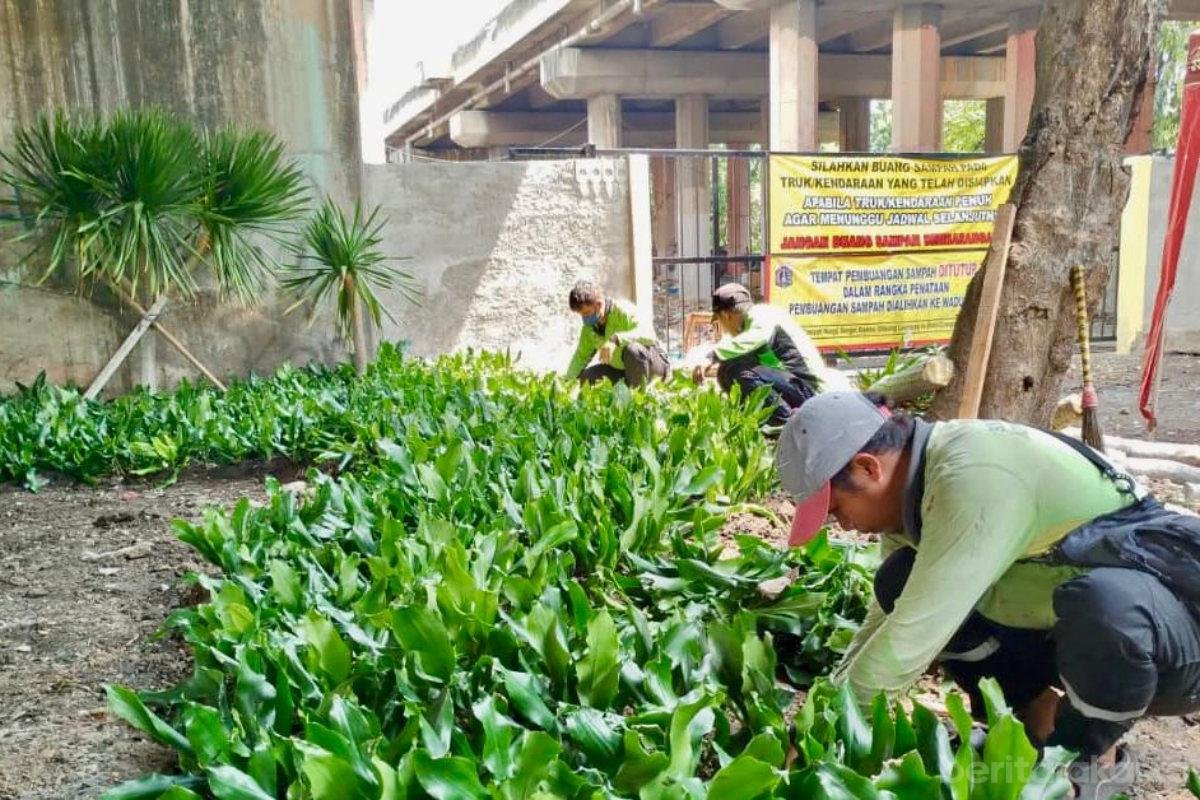 Kolong Tol Eks TPS Sampah Ilegal Diubah Jadi Taman Indah