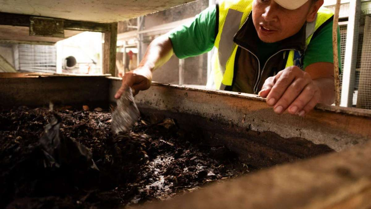 Sampah Organik Pasirlayung: Kolaborasi Warga, Maggot, dan Ternak Ayam
