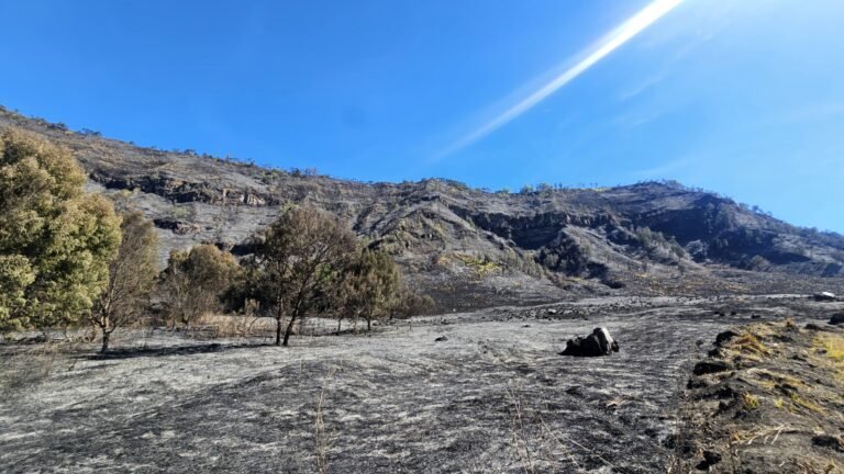 Koordinasi Kementerian Pariwisata Terkait Kebakaran di Kawasan Bromo