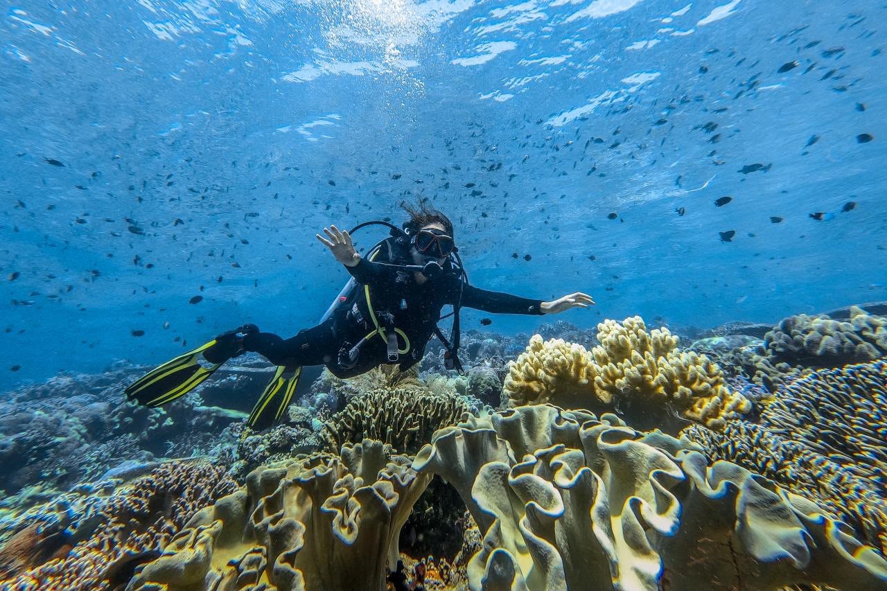Kemenpar: Tidak Ada Toleransi Terhadap Perusakan Ekosistem Raja Ampat