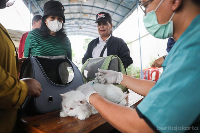 1.491 HPR di Kecamatan Makasar Sudah Divaksin Rabies